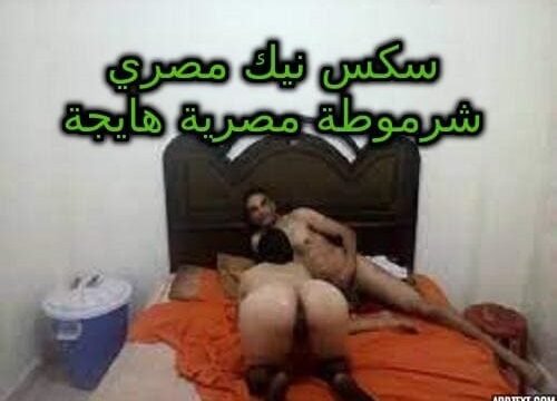 سكس نيك مصري – شرموطة مصرية هايجة